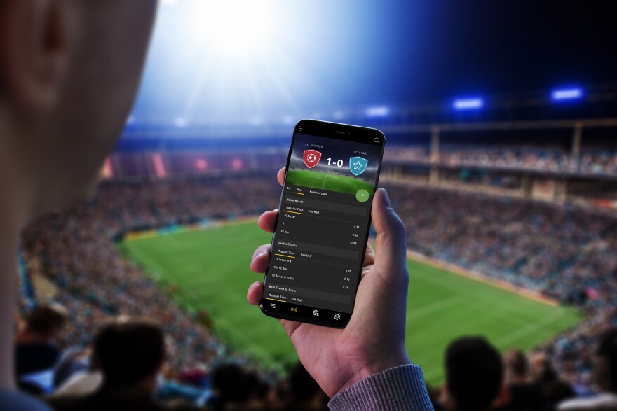 Discovering the World of Betandres Your Ultimate Betting Guide